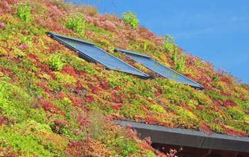 St Cyrus living roof systems